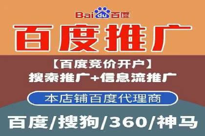 某电商平台的SEM推广实践与效果展示